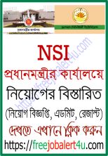 Prime Minister Office (NSI) Job Circular